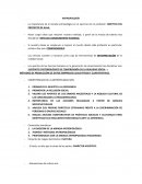 MÉTODOS DE PRODUCCIÓN DE DATOS EMPÍRICOS CUALITATIVOS Y CUANTITATIVOS.