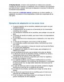 TEORIA DE LA EVOLUCION Charles Darwin