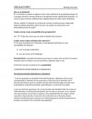 OBLIGACIONES Rodrigo Garayzar Que es el dominio?