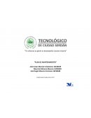 Un nuevo Plan de mantenimiento esmeril industrial