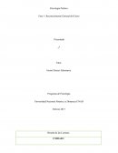 EL JUICIO FINAL DE MIGUEL ANGEL DESDE EL PUNTO DE VISTA DE LA PERSONA Y TRASCENDENCIA