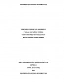 YASI REDES (SOLUCIONES INFORMATICAS)