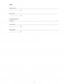 El Profesional Del Cuidado.