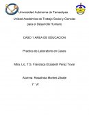 Practica de Laboratorio en Casos