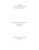 EMBRIOLOGIA DEL SISTEMA NERVIOSO - NEUROPSICOLOGIA
