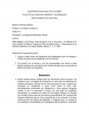 Guerras mestizas