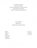 Pre-Informe 1 de laboratorio de lodos