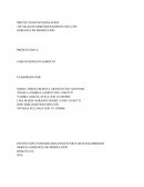 TECNICAS DE DIMENSIONAMIENTO DE LOTE GERENCIA DE PRODUCCIÓN