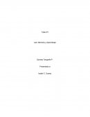 ¿Qué querían los investigadores comprender con el estudio?