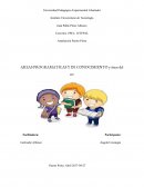 IMPORTANCIA DE INTEGRAR LAS AREAS PROGRAMATICAS Y DE CONOCIMIENTO CON LAS AREAS DEL SER