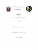 Español 1. Producto Integrador del Aprendizaje.