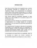 Prácticas profesionales en el departamento de contabilidad de Diconsa: Informe