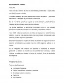 SOCIALIZACIÒN FORMAL HISTORIA