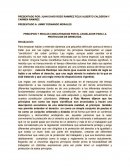 PRINCIPIOS Y REGLAS CONCATENADOS POR EL LEGISLADOR PARA LA PROTECCION DE DERECHOS.
