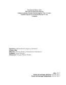 Historia Social y Cultural de la Literatura I