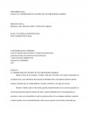 El sorprendente mundo de los microorganismos