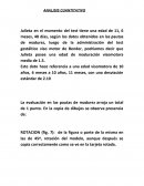 ANALISIS CUANTITATIVO ANALISIS CUALITATIVO