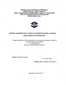 Preliminares Control Aduanero