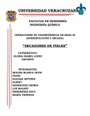OPERACIONES DE TRANSFERENCIA DE MASA III (HUMIDIFICACIÓN Y SECADO)