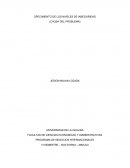 CRECIMIENTO DE LOS NIVELES DE INSEGURIDAD