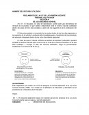 SECCIÓN A DE LOS ASCENSOS DE NIVEL