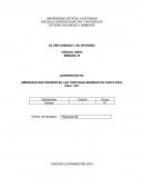 ANTEPROYECTO: AMENAZAS QUE ENFRENTAN LAS TORTUGAS MARINAS EN COSTA RICA