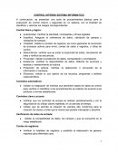 CONTROL INTERNO SISTEMA INFORMATICO