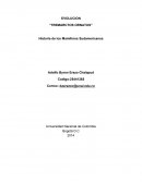 EVOLUCION “TREMARCTOS ORNATUS”