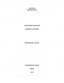 HIPERTEXTO MADAME BOVARY