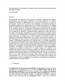 Homología genética y del desarrollo en sesos amniota. Hacia conciliar las vistas radicales de evolución cerebral