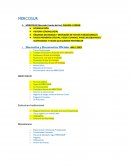 MERCOSUR (Mercado Común del Sur) CLAUDIA / EDSON