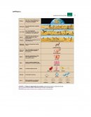 CAPÍTULO 1 Los principios científicos fundamentan toda investigación científica