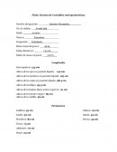 Ficha Técnica de Variables Antropométricas