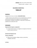 SECUENCIA DIDCATICA "EL DIBUJO".