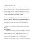 ESTRATEGIA COMPETITIVA : CERÁMICA ITALIA S.A.