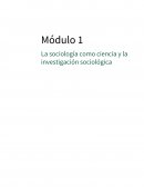 La perspectiva sociologica.