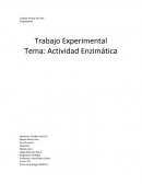 Trabajo Experimental biologia