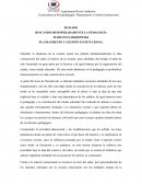 Buscando desesperadamente la pedagogia Narodowsli