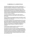 Tema Las carreras clandestinas se corren en las calles o en algún lugar no permitido son peligrosas y riesgosas ya que el conductor no cuenta con las protecciones necesarias en un accidente ni con atenciones médicas.