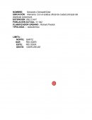 Evolucion de la ciudad schwedt