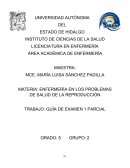 ENFERMERÍA EN LOS PROBLEMAS DE SALUD DE LA REPRODUCCIÓN