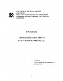 Caracteristicas del adulto que aprende