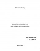 El propósito del presente ensayo es explicar de forma breve en que consisten las llamadas Libertades del Aire, contempladas en el Convenio de aviación Civil Internacional