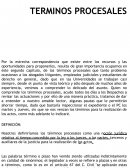 TERMINOS PROCESALES.