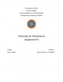 Investigar sobre las ecuaciones que rigen el flujo de fluidos en el medio poroso