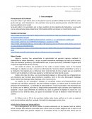 Fase conceptual Planteamiento del Problema