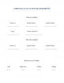 FORMATO: EVALUACION DEL DESEMPEÑO