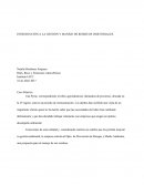 INTRODUCCIÓN A LA GESTIÓN Y MANEJO DE RESIDUOS INDUSTRIALES