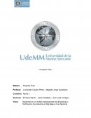 Desarrollo de un modelo estandarizado de almacenaje y Distribución de productos en Big Bags a nivel Nacional