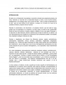 INFORME LIBRO TODO LO SOLIDO SE DESVANECE EN EL AIRE.